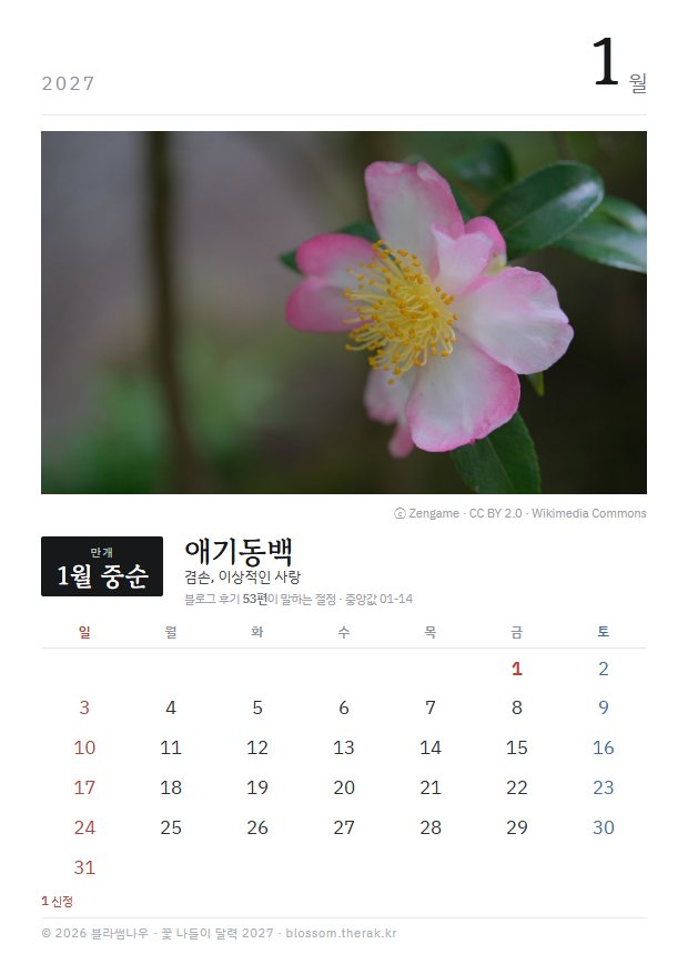 2027년 열두 달 1월 애기동백 지면