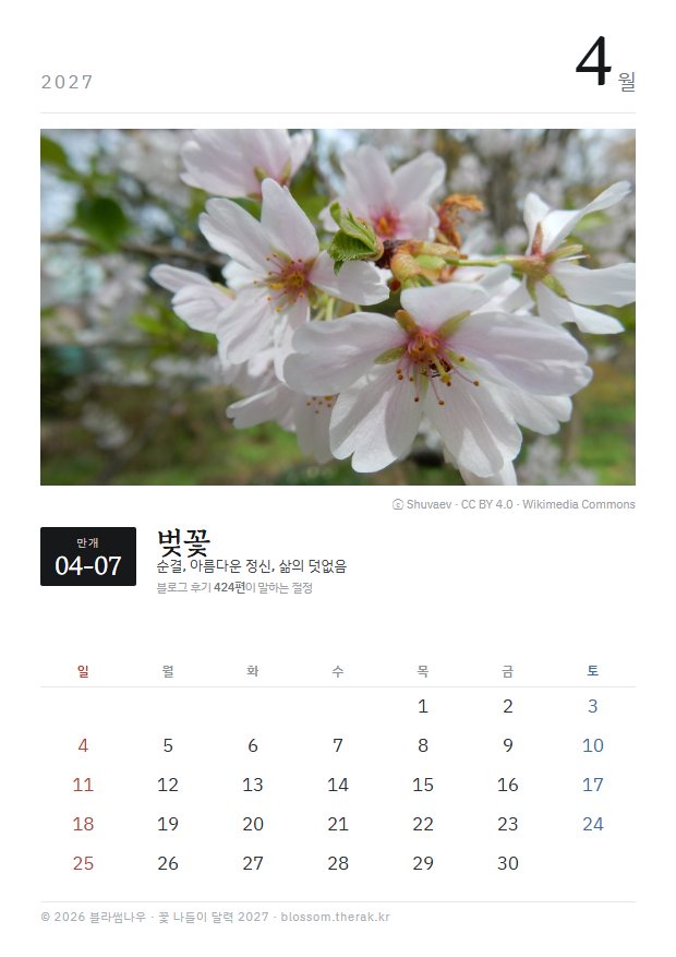 2027년 열두 달 4월 벚꽃 지면