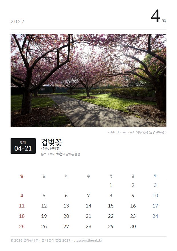2027년 열두 달 4월 겹벚꽃 지면