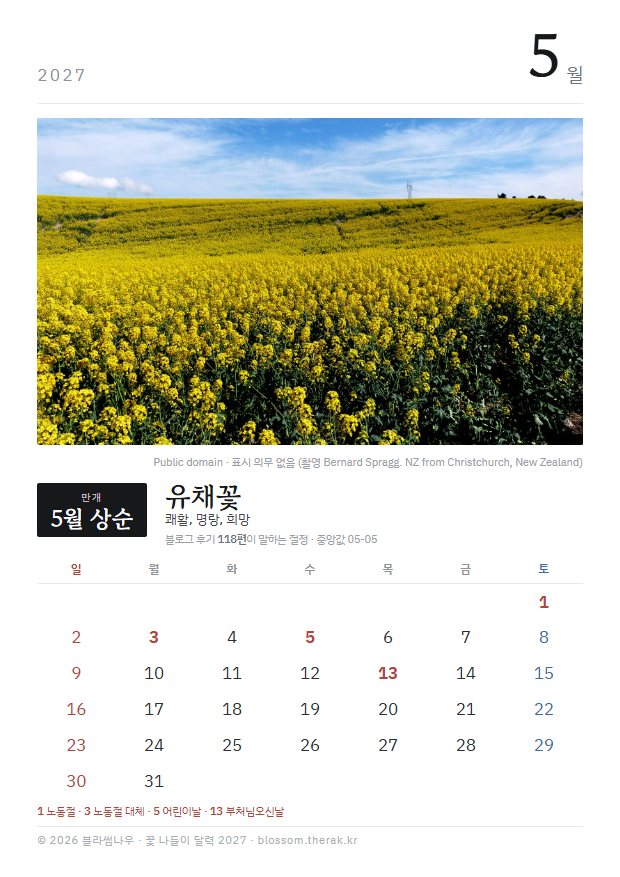 2027년 열두 달 5월 유채꽃 지면