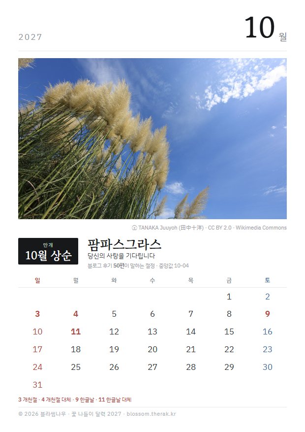 2027년 열두 달 10월 팜파스그라스 지면