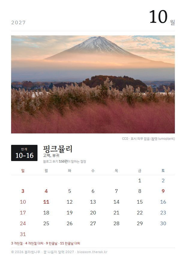 2027년 열두 달 10월 핑크뮬리 지면