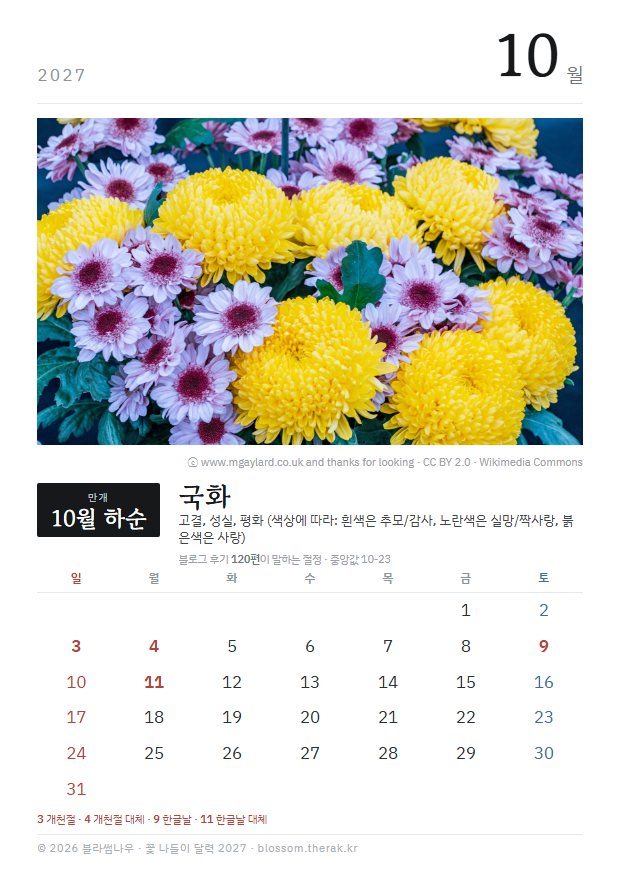 2027년 열두 달 10월 국화 지면